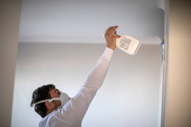 Best DIY Mold Remediation Support Services in Mogadore, OH