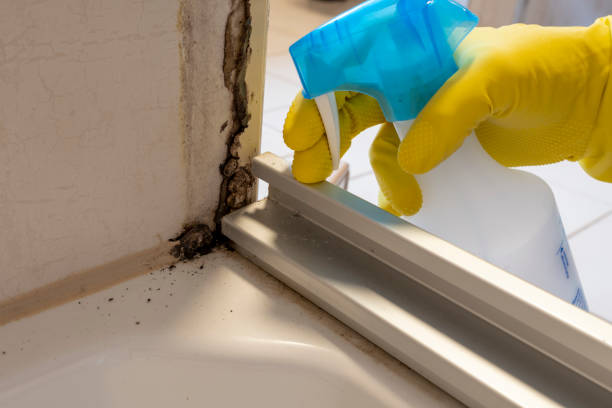Best Mold Testing and Inspection Services in Mogadore, OH